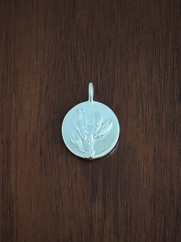 broom coin charm sterling silver