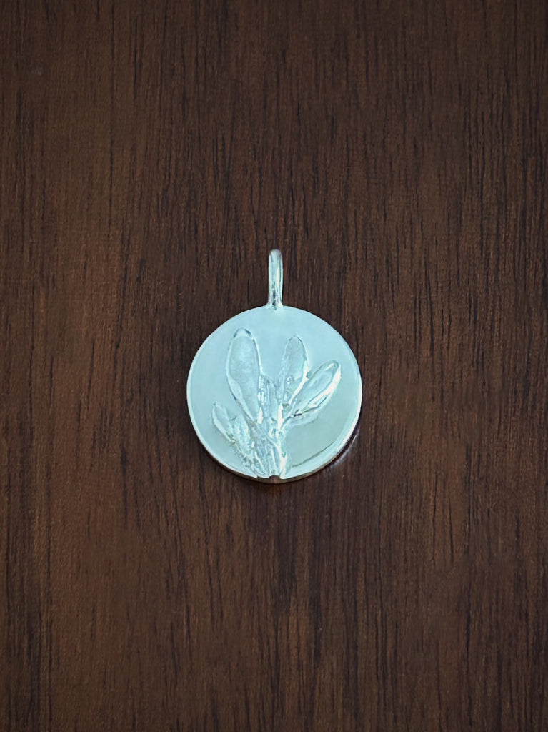 broom coin charm sterling silver