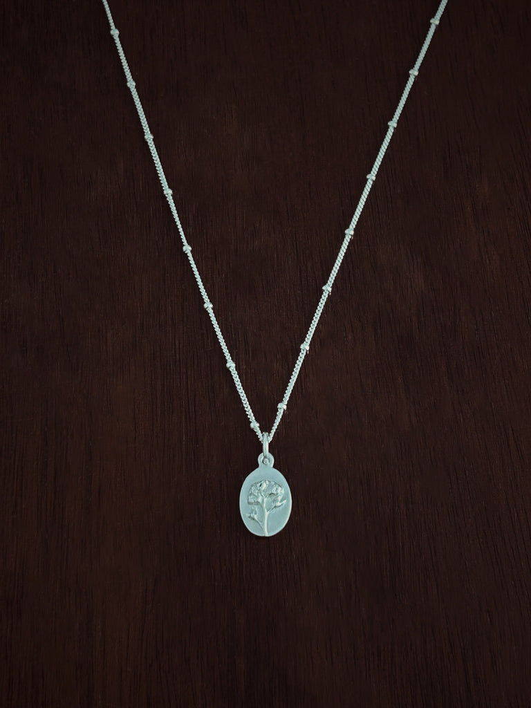 Silver necklace with a pendant on a dark brown background