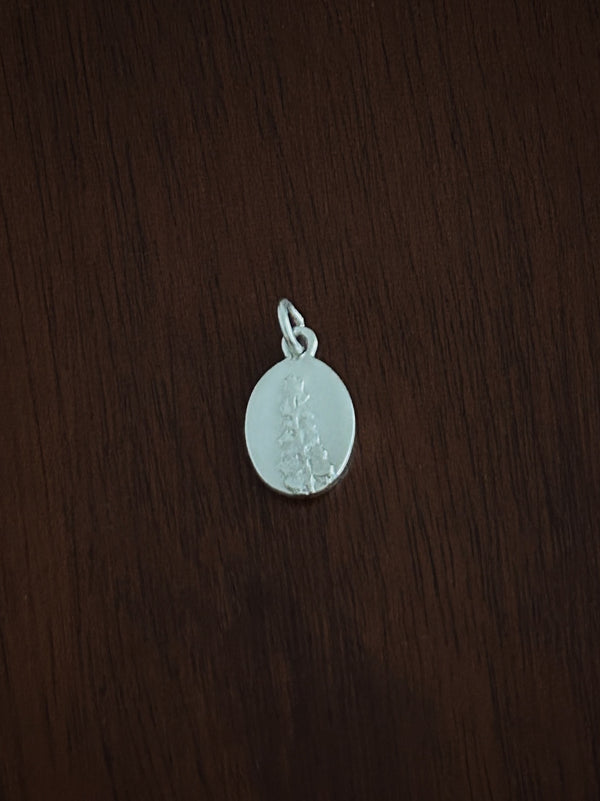 Silver pendant Fern Medal