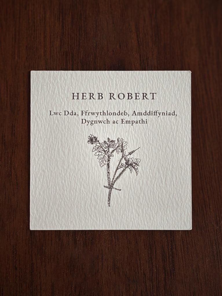 Card with illustration of Herb Robert and language of flowers meanings in Welsh on a wooden surface