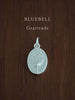 BLUEBELL ~ For Gratitude - Flower & Fable