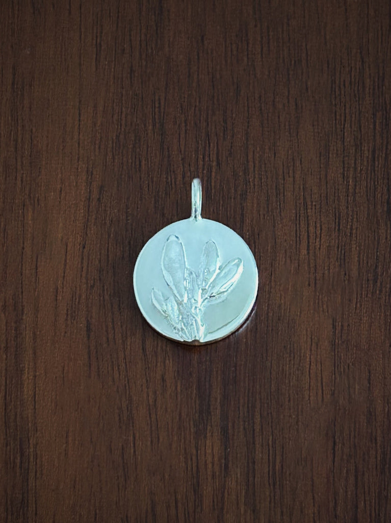 BROOM ~ For Courage & Heroism - Flower & Fable
