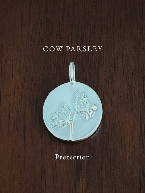 COW PARSLEY ~ For Protection - Flower & Fable