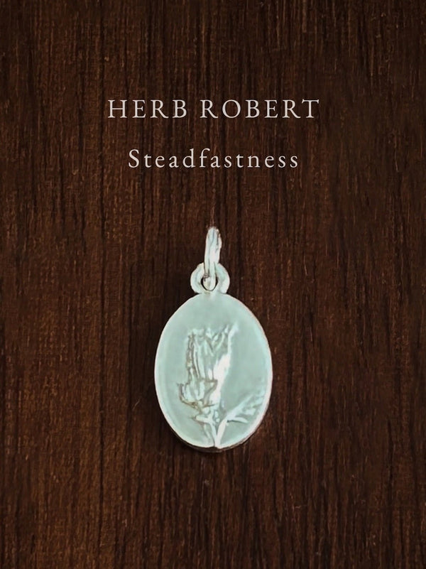 HERB ROBERT ~ For Steadfastness - Flower & Fable