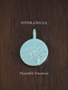 HYDRANGEA ~ For Heartfelt Emotion - Flower & Fable