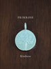 PRIMROSE ~ For Kindness - Flower & Fable